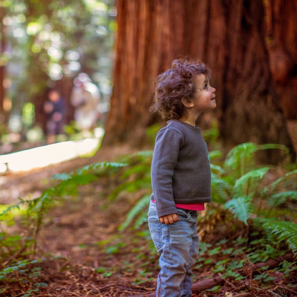 photo of young boy in a forest looking up at the trees and smiling